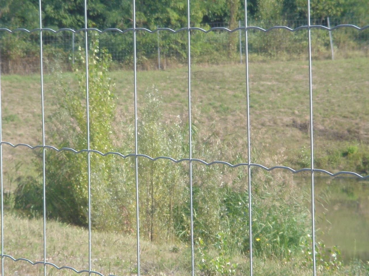 Rouleau 50 M soudé Autoroute - Galvanisé Mailles Progressives